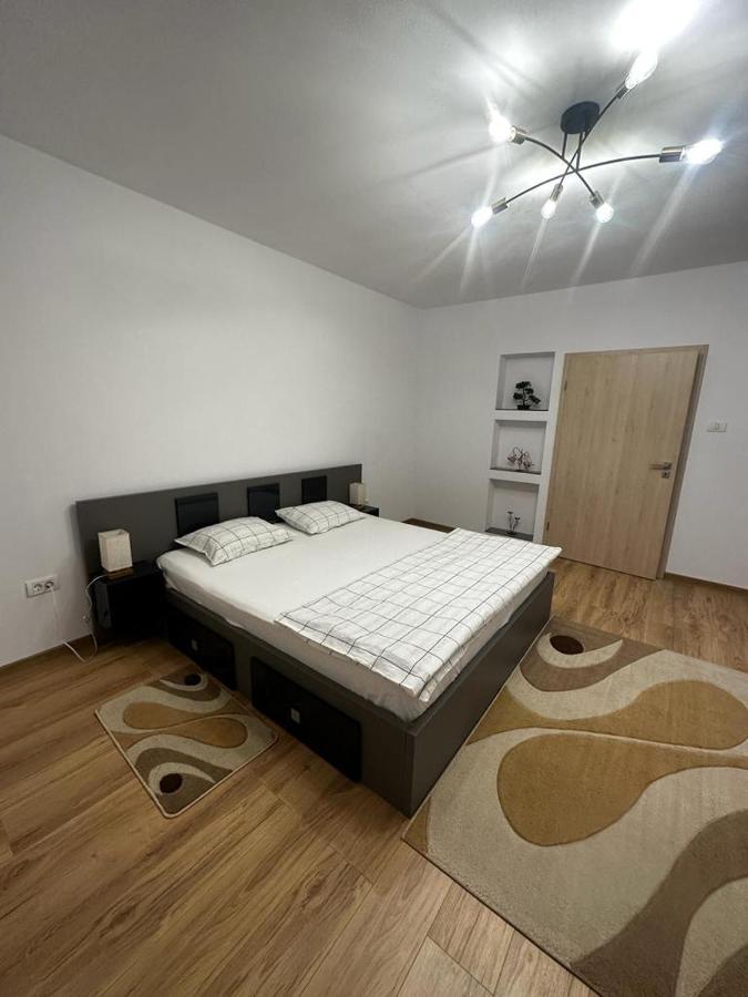 Emanuela Apartments Pecica 외부 사진