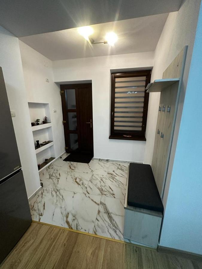 Emanuela Apartments Pecica 외부 사진